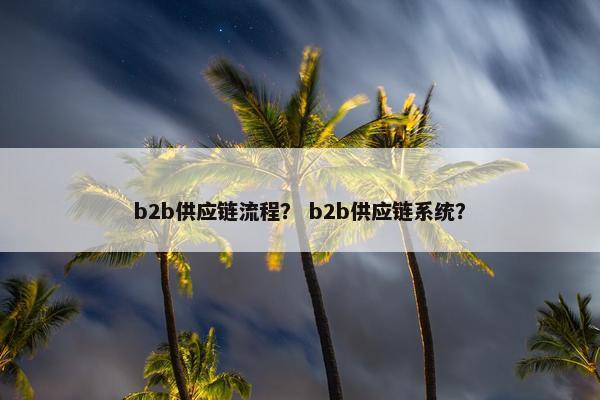 b2b供应链流程？ b2b供应链系统？