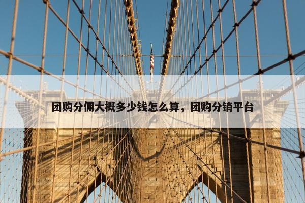 团购分佣大概多少钱怎么算，团购分销平台