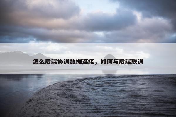 怎么后端协调数据连接，如何与后端联调