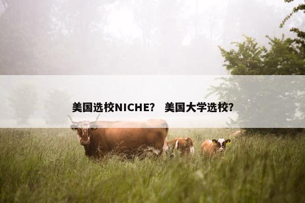 美国选校NICHE？ 美国大学选校？