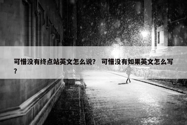 可惜没有终点站英文怎么说？ 可惜没有如果英文怎么写？