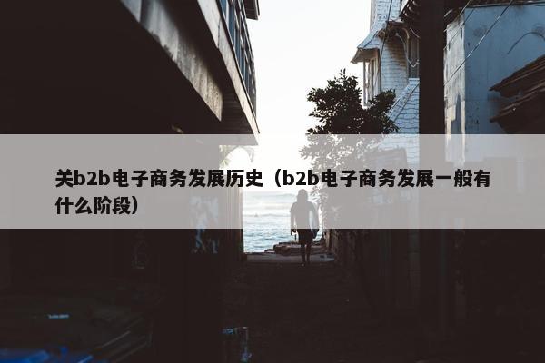 关b2b电子商务发展历史（b2b电子商务发展一般有什么阶段）
