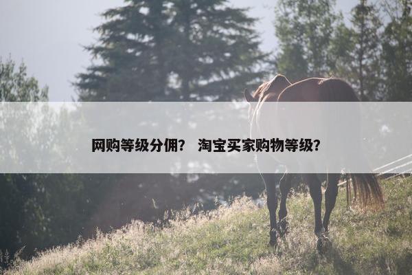 网购等级分佣？ 淘宝买家购物等级？