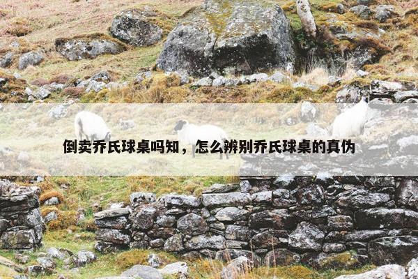 倒卖乔氏球桌吗知，怎么辨别乔氏球桌的真伪