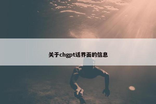 关于chgpt话界面的信息