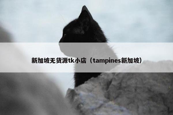 新加坡无货源tk小店（tampines新加坡）