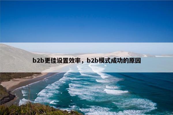 b2b更佳设置效率，b2b模式成功的原因