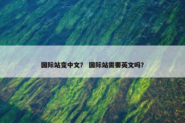 国际站变中文？ 国际站需要英文吗？