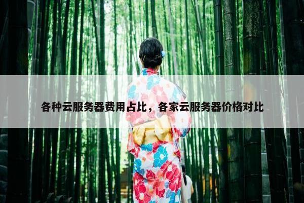 各种云服务器费用占比，各家云服务器价格对比