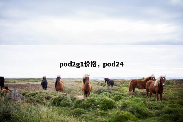 pod2g1价格，pod24