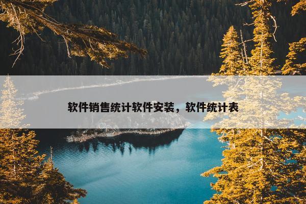 软件销售统计软件安装，软件统计表