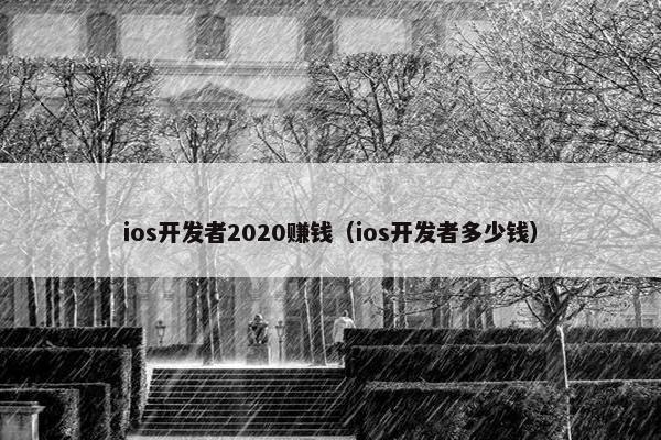 ios开发者2020赚钱（ios开发者多少钱）