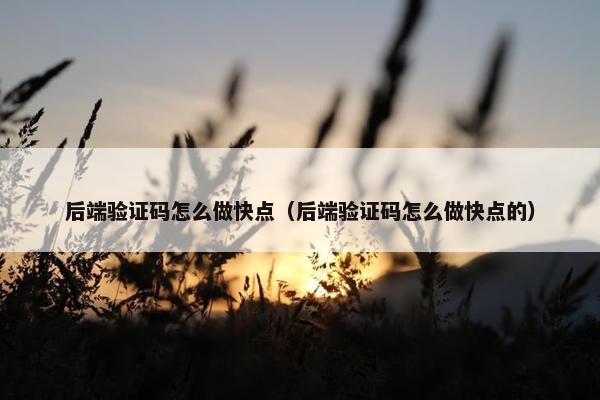 后端验证码怎么做快点（后端验证码怎么做快点的）