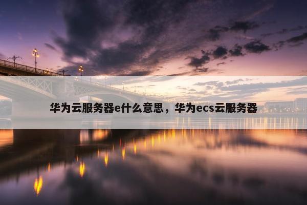 华为云服务器e什么意思，华为ecs云服务器
