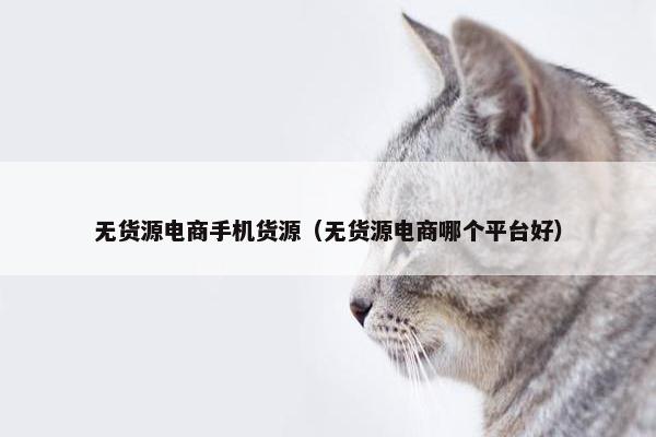 无货源电商手机货源（无货源电商哪个平台好）