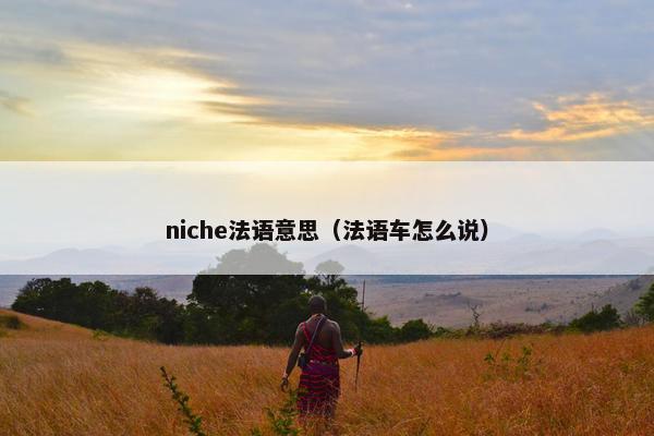 niche法语意思（法语车怎么说）