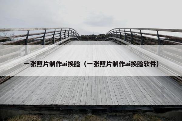 一张照片制作ai换脸（一张照片制作ai换脸软件）
