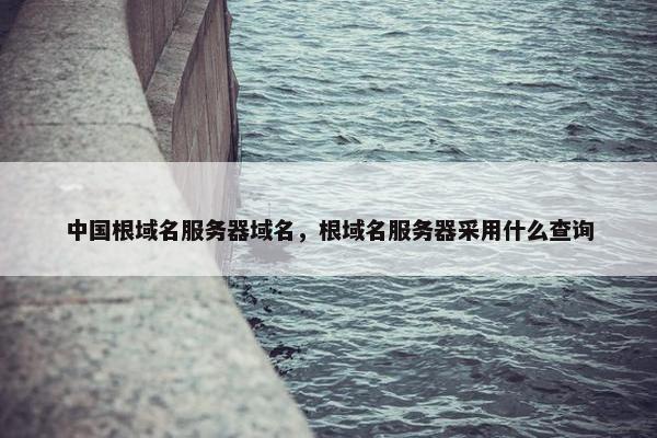 中国根域名服务器域名，根域名服务器采用什么查询