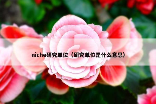 niche研究单位（研究单位是什么意思）