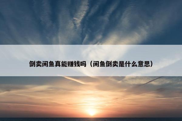 倒卖闲鱼真能赚钱吗（闲鱼倒卖是什么意思）