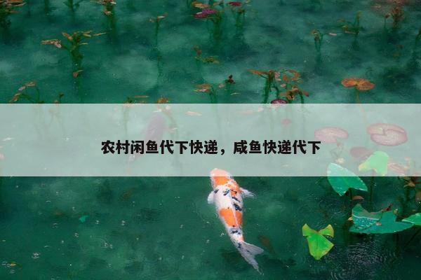 农村闲鱼代下快递，咸鱼快递代下