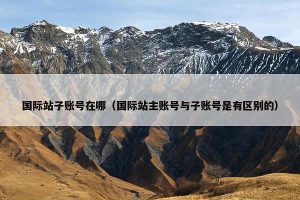 国际站子账号在哪（国际站主账号与子账号是有区别的）