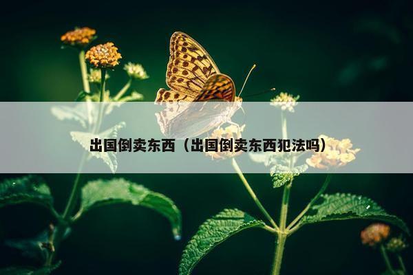 出国倒卖东西（出国倒卖东西犯法吗）