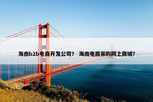 海南b2b电商开发公司？ 海南电商采购网上商城？
