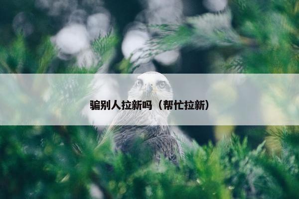 骗别人拉新吗（帮忙拉新）