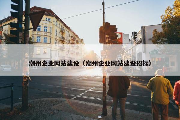 潮州企业网站建设（潮州企业网站建设招标）