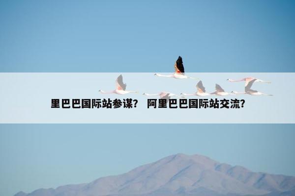 里巴巴国际站参谋？ 阿里巴巴国际站交流？