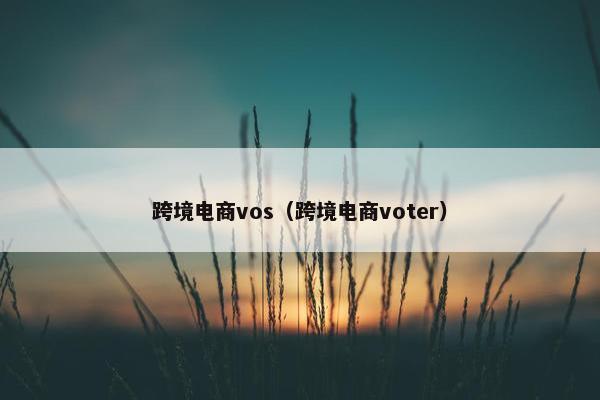 跨境电商vos（跨境电商voter）