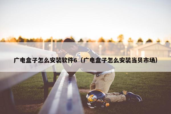 广电盒子怎么安装软件6（广电盒子怎么安装当贝市场）