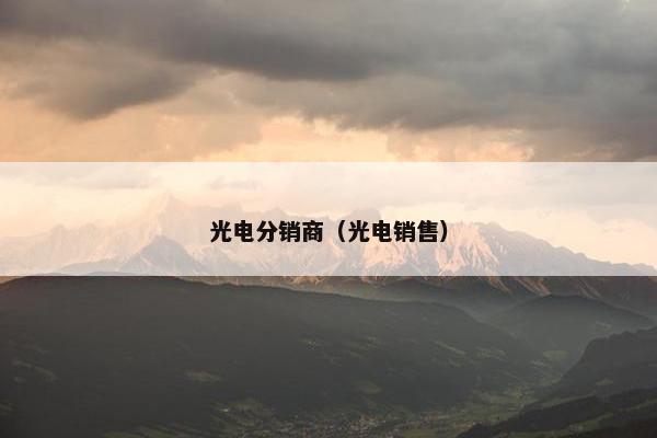 光电分销商（光电销售）