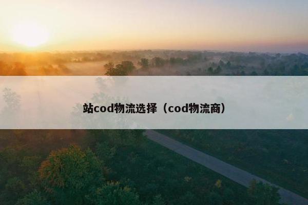 站cod物流选择（cod物流商）