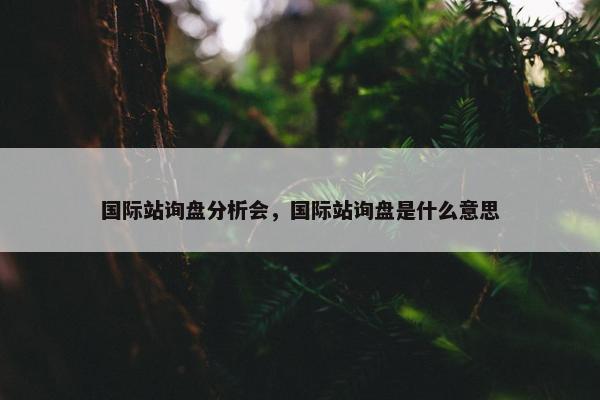 国际站询盘分析会，国际站询盘是什么意思