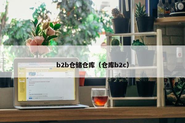 b2b仓储仓库（仓库b2c）