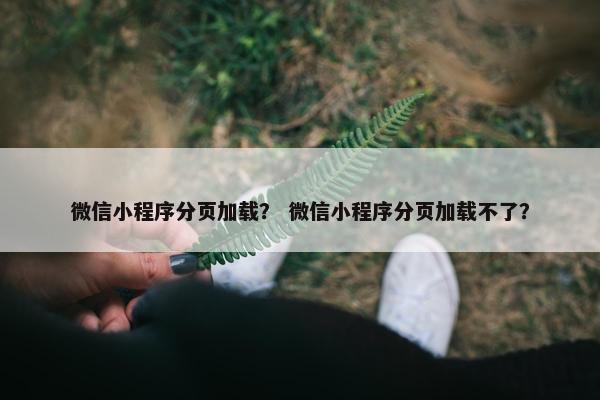 微信小程序分页加载？ 微信小程序分页加载不了？