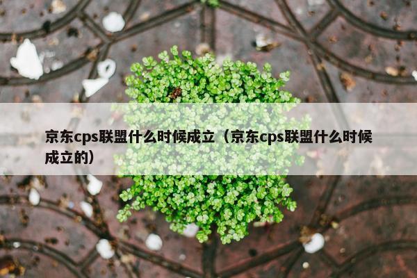 京东cps联盟什么时候成立（京东cps联盟什么时候成立的）
