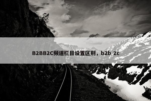 B2BB2C频道栏目设置区别，b2b 2c