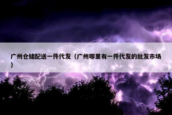 广州仓储配送一件代发（广州哪里有一件代发的批发市场）
