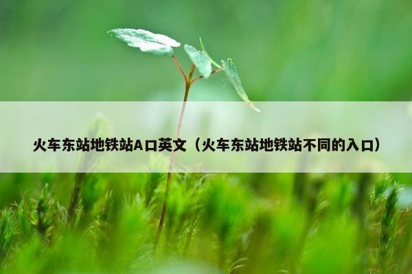火车东站地铁站A口英文（火车东站地铁站不同的入口）
