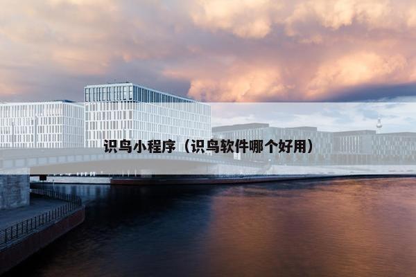 识鸟小程序（识鸟软件哪个好用）