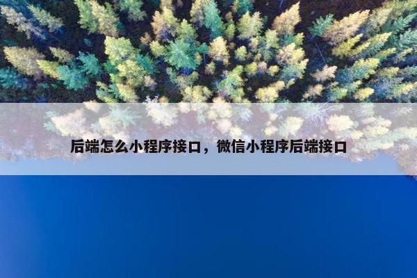 后端怎么小程序接口，微信小程序后端接口