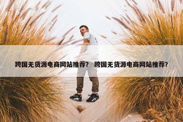 跨国无货源电商网站推荐？ 跨国无货源电商网站推荐？