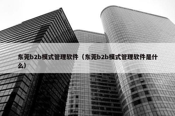 东莞b2b模式管理软件（东莞b2b模式管理软件是什么）