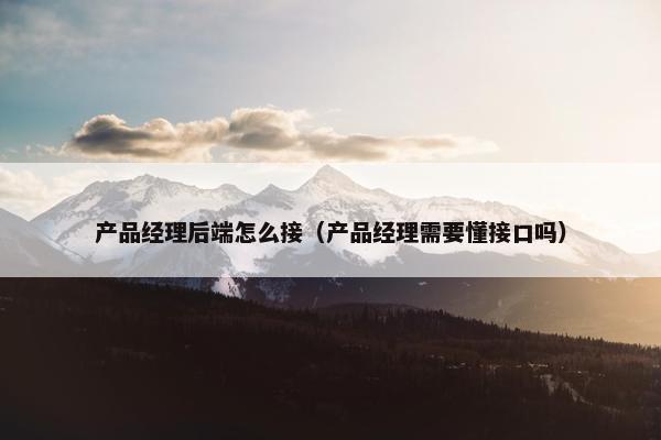 产品经理后端怎么接（产品经理需要懂接口吗）
