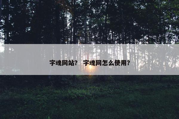 字魂网站？ 字魂网怎么使用？