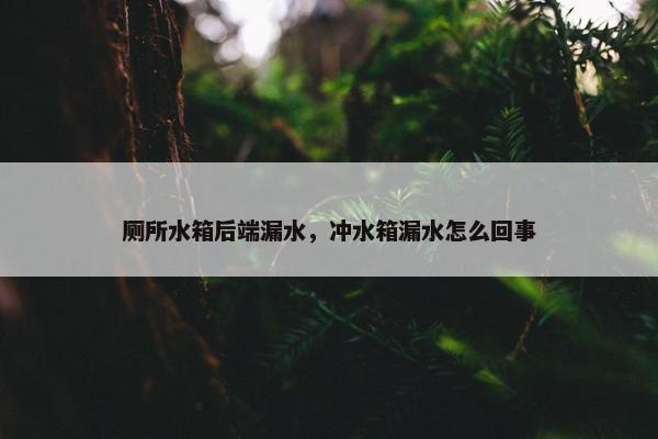 厕所水箱后端漏水，冲水箱漏水怎么回事
