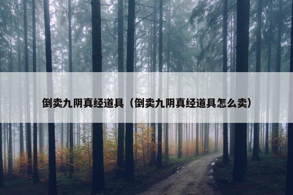 倒卖九阴真经道具（倒卖九阴真经道具怎么卖）